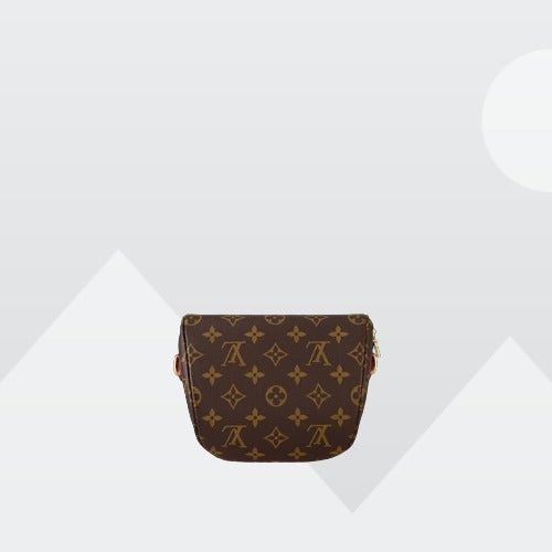 LV Mini Bumbag