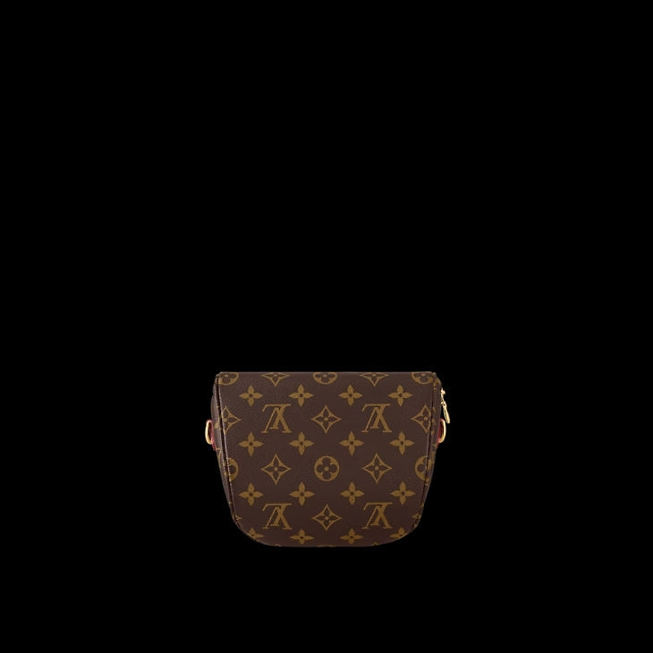 LV Mini Bumbag