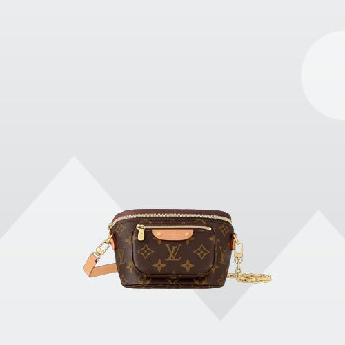 LV Mini Bumbag