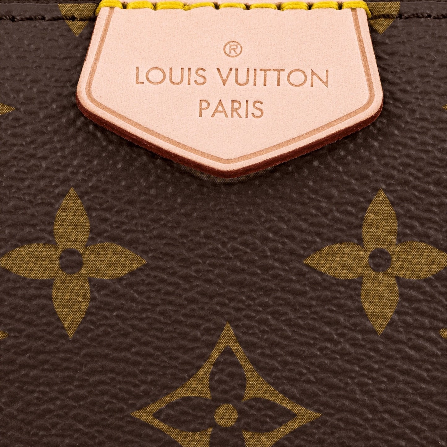 LV Multi Pochette Accessoires