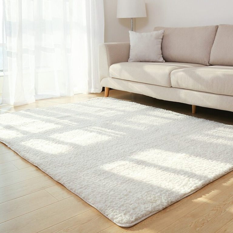 Living Room Rug Area Solid Carpet Fluffy Soft 3703805112923.jpg